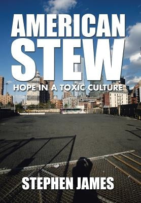 American Stew: Hope in a Toxic Culture by James, Stephen