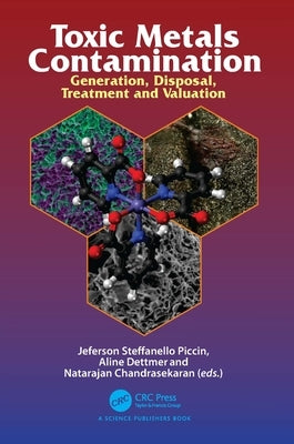 Toxic Metals Contamination: Generation, Disposal, Treatment and Valuation by Piccin, Jeferson Steffanello