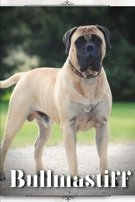 Bullmastiff: Dog breed overview and guide by Pustova, Nina