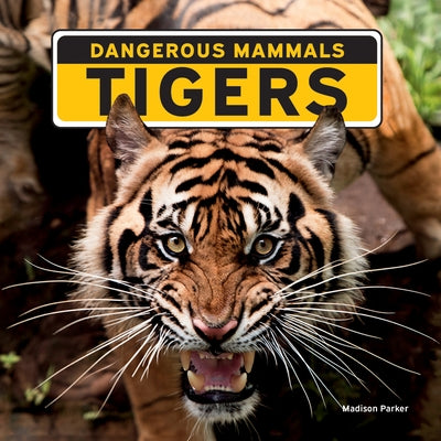 Tigers by Parker, Madison