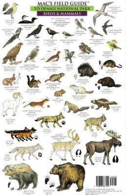 Mac's Field Guides: Denali National Park by Macgowan, Craig