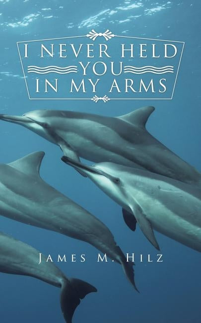 I Never Held You in My Arms by Hilz, James M.