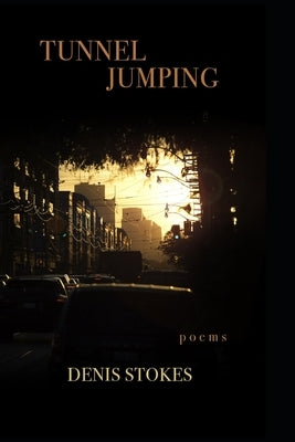 Tunnel Jumping: Poems by Stokes, Mary