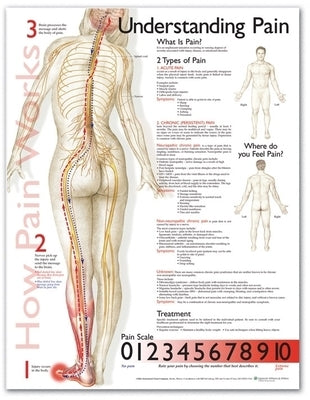 Understanding Pain Anatomical Chart by Anatomical Chart Company