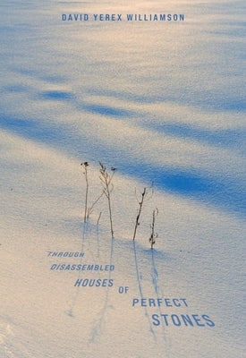 Through Disassembled Houses of Perfect Stones by Williamson, David Yerex