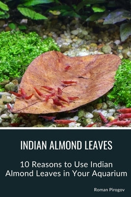 Indian Almond Leaves: 10 Reasons to Use Indian Almond Leaves in Your Aquarium by Pirogov, Roman