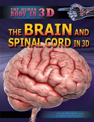 The Brain and Spinal Cord in 3D by Becker, Jack