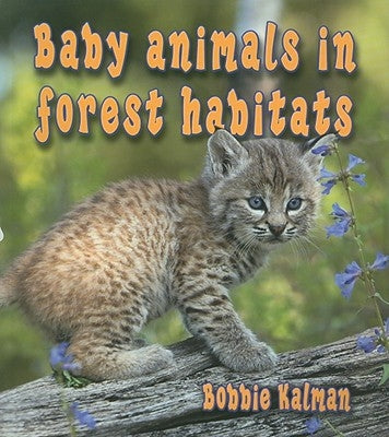 Baby Animals in Forest Habitats by Kalman, Bobbie