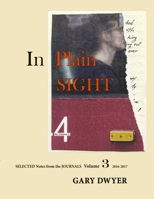 In Plain Sight Volume 3 by Dwyer, Gary
