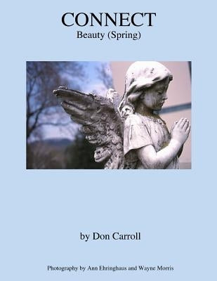 Connect: Beauty (Spring) by Ehringhaus, Ann