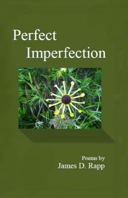 Perfect Imperfection by Rapp, James D.