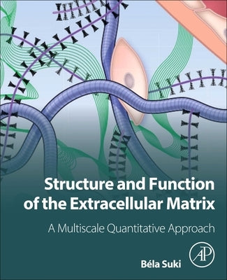 Structure and Function of the Extracellular Matrix: A Multiscale Quantitative Approach by Suki, Bela