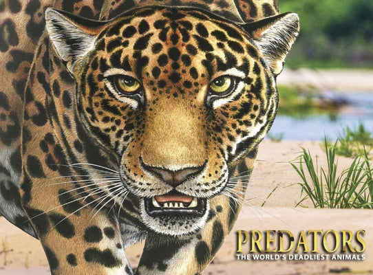 Predators: The World's Deadliest Animals by Hammond, Paula