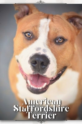 American Staffordshire Terrier: Dog breed overview and guide by Pustova, Nina