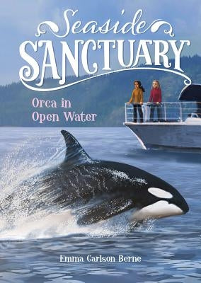 Orca in Open Water by Bernay, Emma