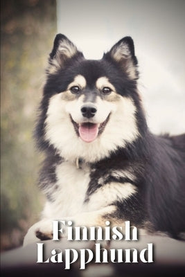 Finnish Lapphund: Dog breed overview and guide by Pustova, Nina