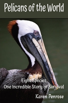 Pelicans of the World: Eight Species, One Incredible Story of Survival: Facts for Kids/Wetland Habitat/Seabirds/Conservation/Endangered Birds/Ecosyste by Penrose, Karen
