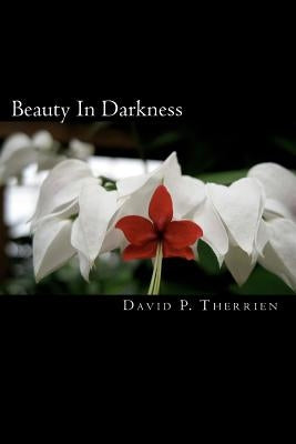 Beauty In Darkness: Finding HOPE in Distressing Times. by Therrien, David P.