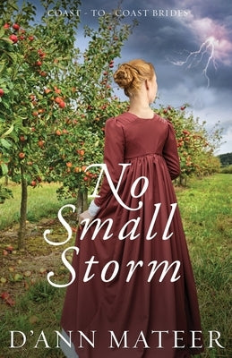 No Small Storm by Mateer, D'Ann