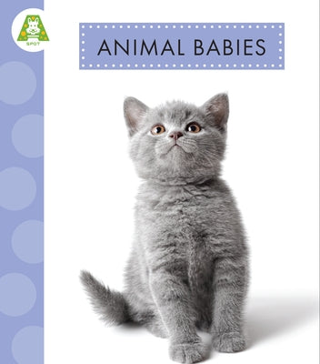 Animal Babies by Suen, Anastasia