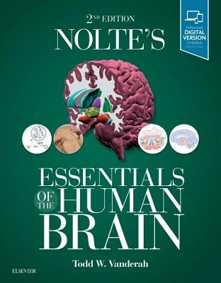 Nolte's Essentials of the Human Brain by Vanderah, Todd W.