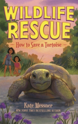 How to Save a Tortoise by Messner, Kate