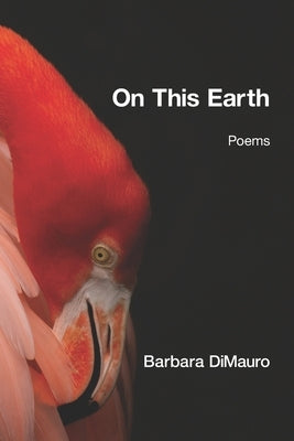On This Earth by DiMauro, Barbara