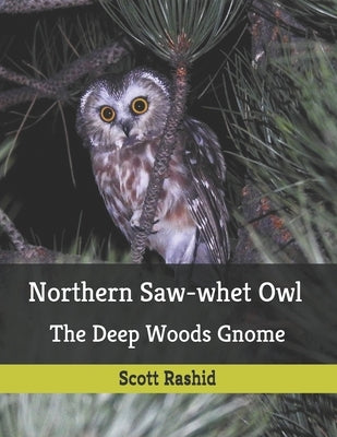 Northern Saw-whet Owl: The Deep Woods Gnome by Rashid, Scott