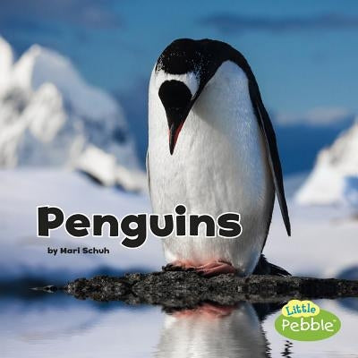 Penguins by Schuh, Mari