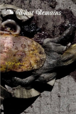 What Remains by Muirhead, Bj
