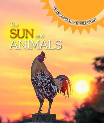 The Sun and Animals by Mattern, Joanne