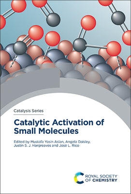 Catalytic Activation of Small Molecules by Aslan, Mustafa Yasin
