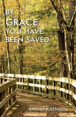 By Grace You Have Been Saved by Johnson, David
