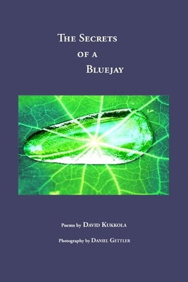 The Secrets of a Bluejay by Kukkola, David