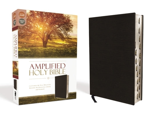 Amplified-Am: Captures the Full Meaning Behind the Original Greek and Hebrew by Zondervan