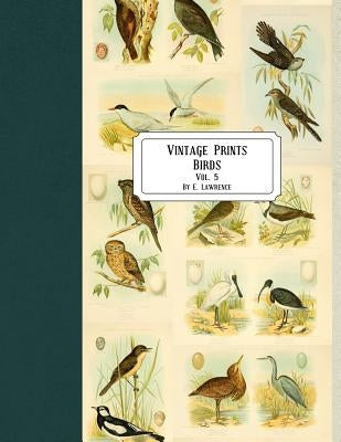 Vintage Prints: Birds: Vol. 5 by Lawrence, E.