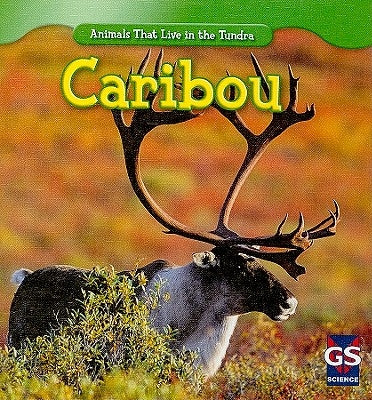 Caribou by Patrick, Roman