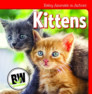 Kittens by Horning, Nicole