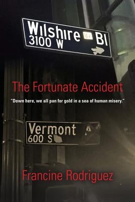 The Fortunate Accident by Rodriguez, Francine