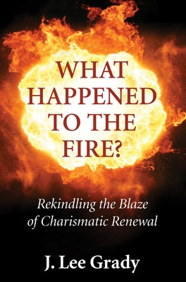 What Happened to the Fire? by Grady, J. Lee