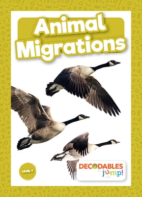 Animal Migrations by Brundle, Harriet