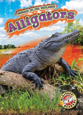 Alligators by Grack, Rachel