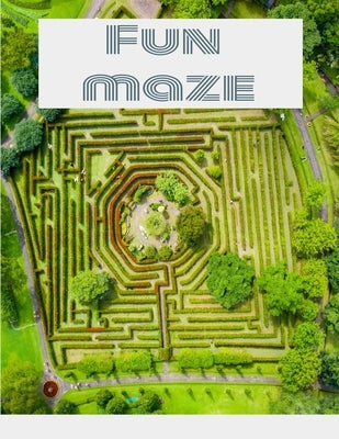 Maze Book - Easy to Moderate to Challenging Puzzles: Maze Puzzle Book - Easy to Moderate to Challenging Puzzles: with answers Maze Book Puzzlers for A by Washington, Robbin