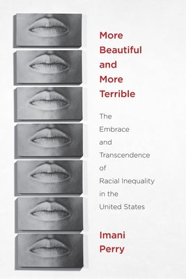 More Beautiful and More Terrible: The Embrace and Transcendence of Racial Inequality in the United States by Perry, Imani