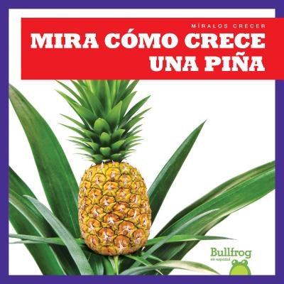 Mira Cómo Crece Una Piña (Watch a Pineapple Grow) by Chang, Kirsten