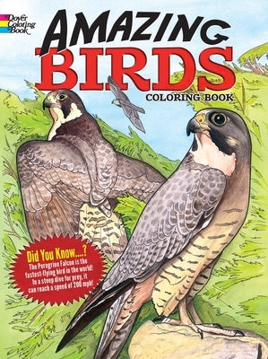 Amazing Birds Coloring Book by Soffer, Ruth