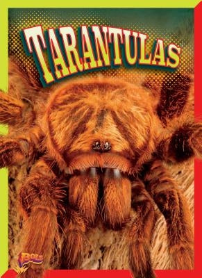 Tarantulas by Gitlin, Marty