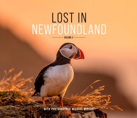 Lost in Newfoundland: Volume 2 by Winsor, Michael
