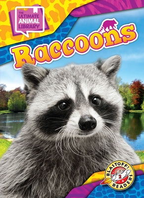 Raccoons by Scheffer, Janie