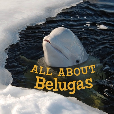All about Belugas: English Edition by Hoffman, Jordan